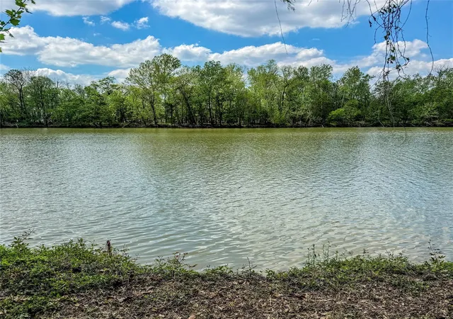 46th image of 7 Lake Dr, Huntsville, TX 77320 | MLS# 29106723