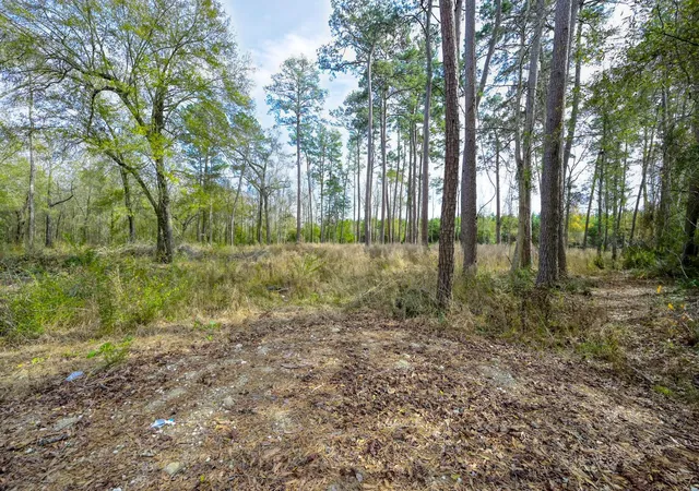 Photo 1 of Land for sale at 480 County Rd 3188, Cleveland, TX 77327 | MLS# 21397992 | Listing updated on 2026-09-15
