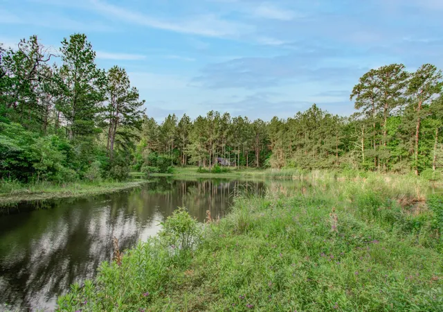 1st image of 0 Winters Ranch Rd, New Waverly, TX 77358 | MLS# 25654868