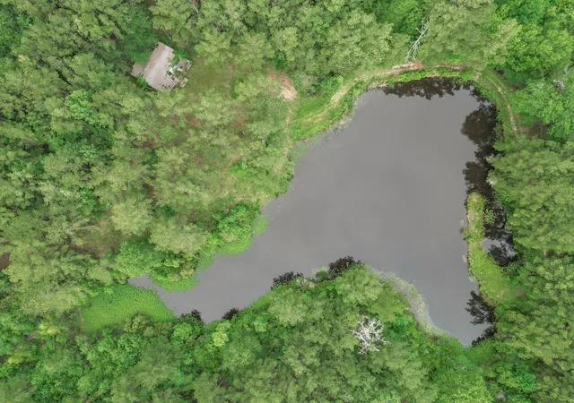 22nd image of 0 Winters Ranch Rd, New Waverly, TX 77358 | MLS# 25654868