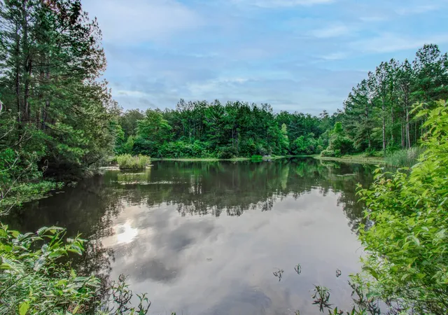 3rd image of 0 Winters Ranch Rd, New Waverly, TX 77358 | MLS# 25654868