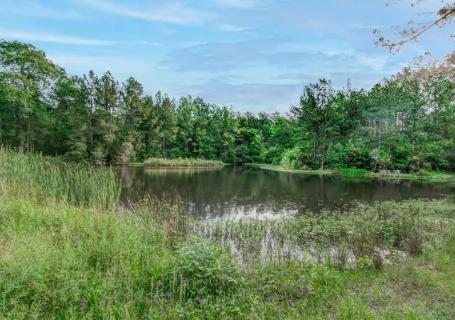 4th image of 0 Winters Ranch Rd, New Waverly, TX 77358 | MLS# 25654868