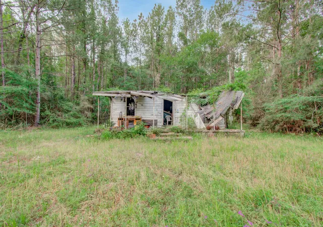 5th image of 0 Winters Ranch Rd, New Waverly, TX 77358 | MLS# 25654868