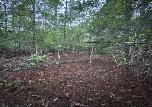 Photo 3 of Land for sale at Tbd Eucalyptus, Village Mills, TX 77663 | MLS# 54183868 | Listing updated on 2026-05-18