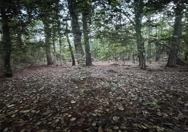 Photo 3 of Land for sale at Tbd Eucalyptus, Village Mills, TX 77663 | MLS# 54183868 | Listing updated on 2026-05-18