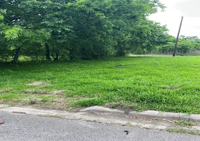 Photo 3 of Land for sale at 0 Mcleary St, Houston, TX 77020 | MLS# 91792032 | Listing updated on 2026-09-18