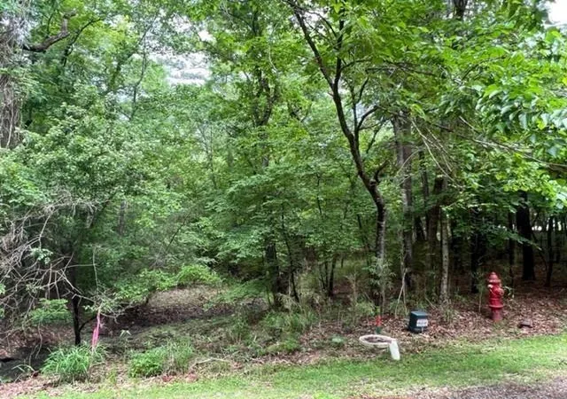 Photo 1 of Land for sale at 59 S Pine Harbour Dr, Coldspring, TX 77331 | MLS# 67381837 | Listing updated on 2026-06-22
