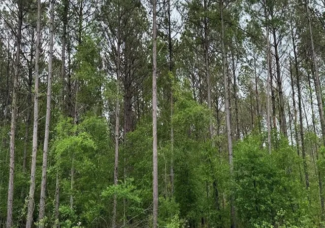 4th image of 1806 Road 66116, Dayton, TX 77535 | MLS# 78117300