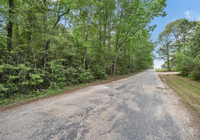 Homes for sale in Richards, TX | 399 Pool Rd, Richards, TX 77873 | MLS# 98199834