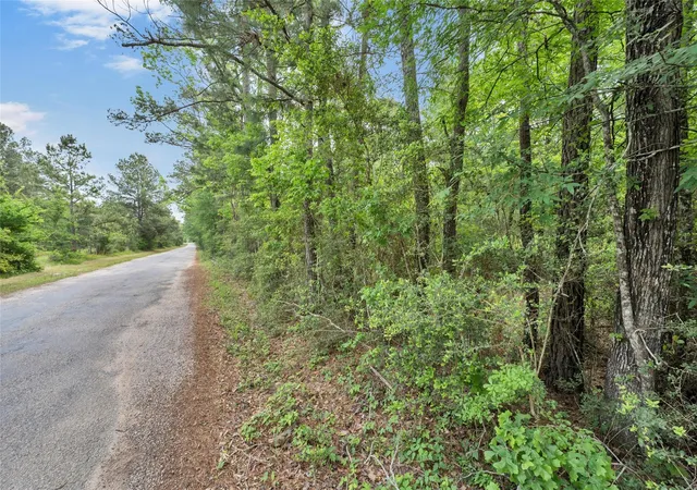 Homes for sale in Richards, TX | 399 Pool Rd, Richards, TX 77873 | MLS# 98199834