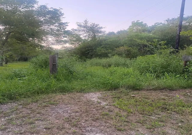 1st image of 114 Black Bass Dr, Danbury, TX 77534 | MLS# 96766256