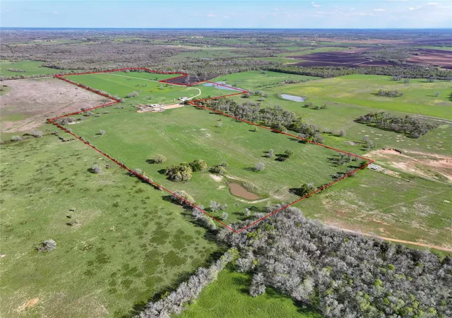 Photo 2 of Land for sale at 11581 County Rd 419, Navasota, TX 77868 | MLS# 45466018 | Listing updated on 2026-06-05