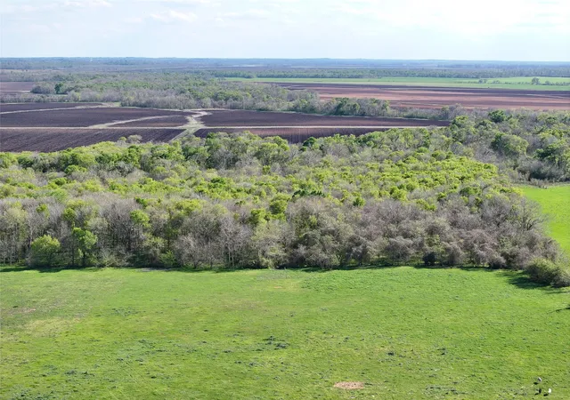 Photo 4 of Land for sale at 11581 County Rd 419, Navasota, TX 77868 | MLS# 45466018 | Listing updated on 2026-06-05