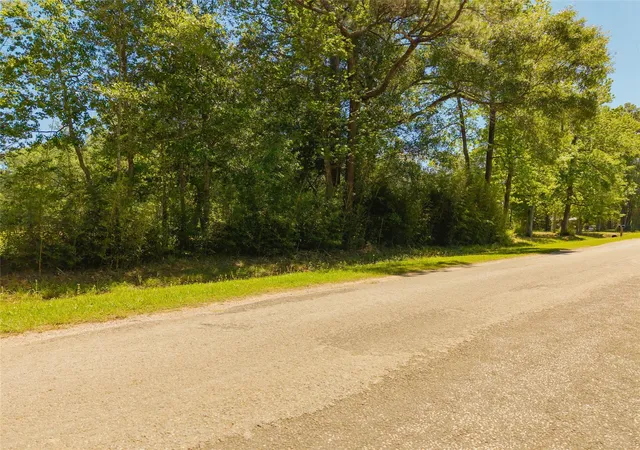 8th image of 1013 County Road 2050, Hull, TX 77564 | MLS# 69195660