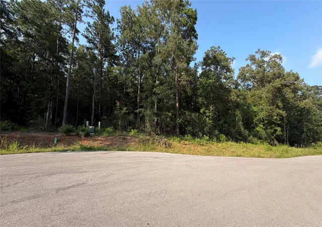 Photo 1 of Land for sale at 222 County Rd 6311, Dayton, TX 77535 | MLS# 91982865 | Listing updated on 2026-06-22
