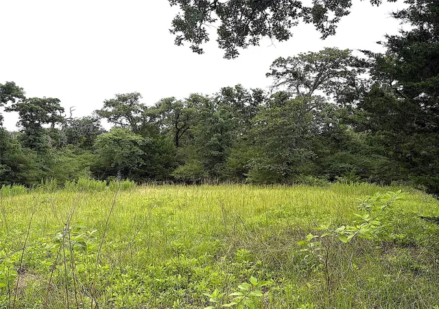 Homes for sale in Centerville, TX | Tbd Pr 4045, Centerville, TX 75833 | MLS# 56738278