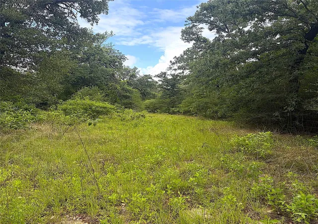 Homes for sale in Centerville, TX | Tbd Pr 4045, Centerville, TX 75833 | MLS# 56738278