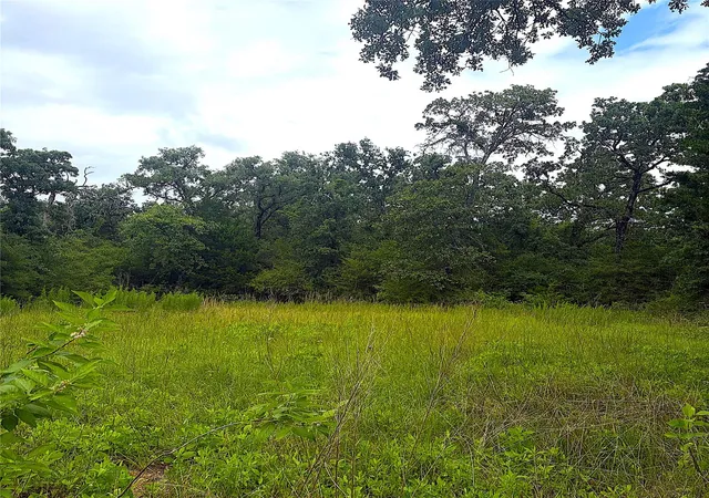Homes for sale in Centerville, TX | Tbd Pr 4045, Centerville, TX 75833 | MLS# 56738278
