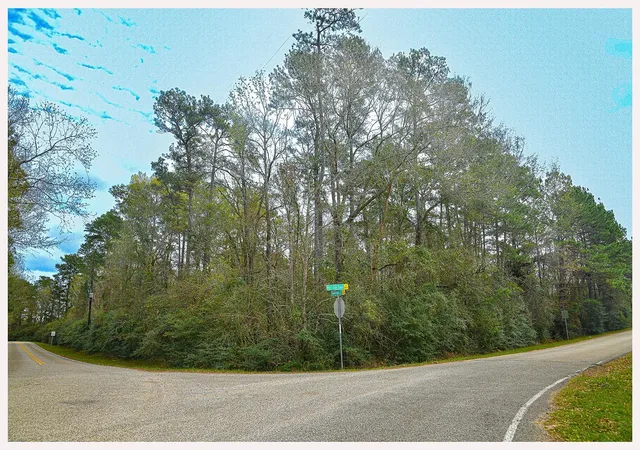 Photo 1 of Land for sale at 7318 Burr Oak Tr, Magnolia, TX 77354 | MLS# 72268276 | Listing updated on 2026-05-20
