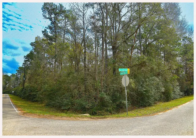 Photo 2 of Land for sale at 7318 Burr Oak Tr, Magnolia, TX 77354 | MLS# 72268276 | Listing updated on 2026-05-20