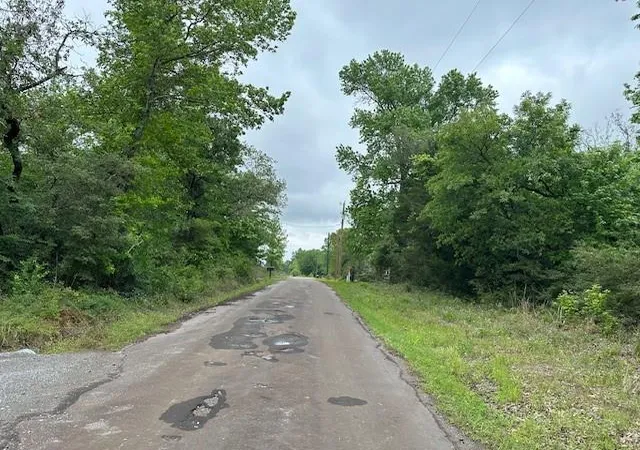 Photo 2 of Land for sale at 000 Co Rd 235, Oakwood, TX 75855 | MLS# 96477543 | Listing updated on 2026-09-10