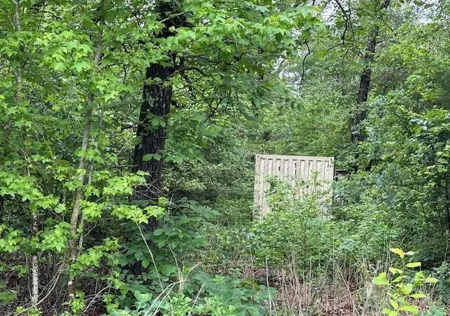 Photo 2 of Land for sale at 000 Co Rd 235, Oakwood, TX 75855 | MLS# 96477543 | Listing updated on 2026-09-10