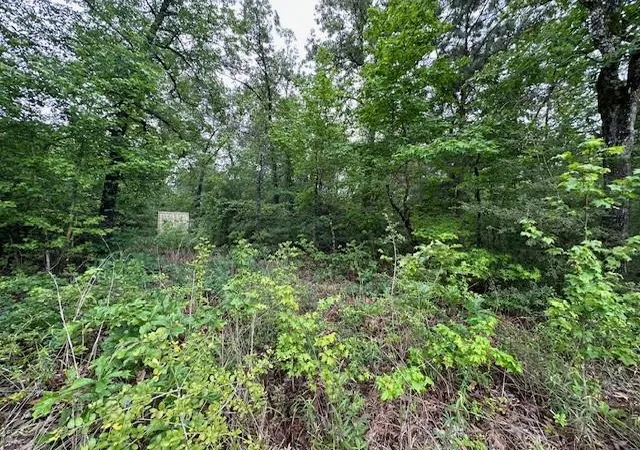 Photo 3 of Land for sale at 000 Co Rd 235, Oakwood, TX 75855 | MLS# 96477543 | Listing updated on 2026-09-10