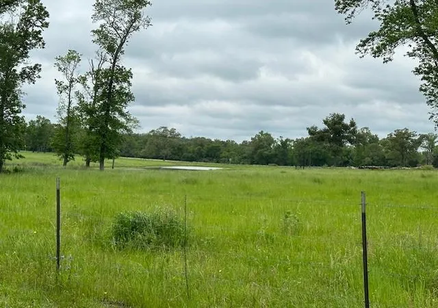Photo 4 of Land for sale at 000 Co Rd 235, Oakwood, TX 75855 | MLS# 96477543 | Listing updated on 2026-09-10