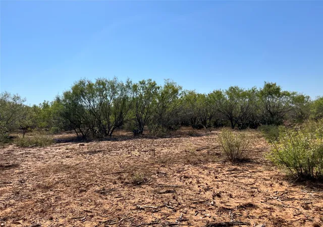 Photo 2 of Land for sale at 50 Cr 321 Tract 15 J243, Jourdanton, TX 78026 | MLS# 45978433 | Listing updated on 2026-03-18