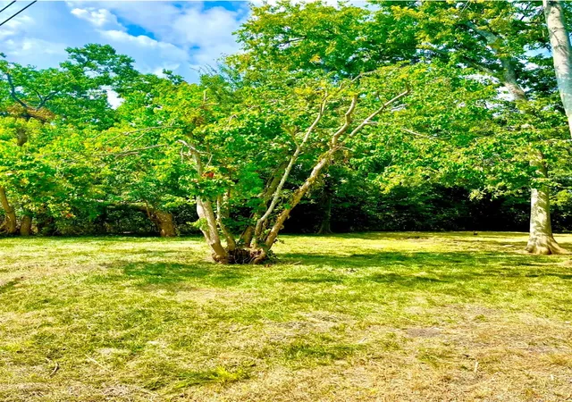 Photo 1 of Land for sale at 3415 Hewrick St, Houston, TX 77020 | MLS# 63512969 | Listing updated on 2026-04-08