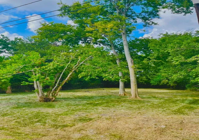 Photo 2 of Land for sale at 3415 Hewrick St, Houston, TX 77020 | MLS# 63512969 | Listing updated on 2026-04-08