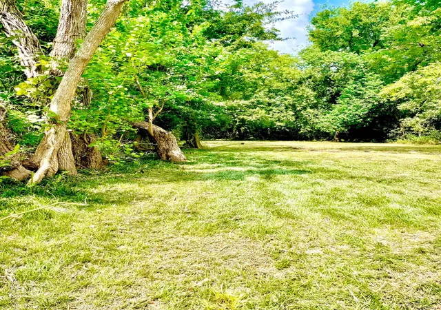Photo 3 of Land for sale at 3415 Hewrick St, Houston, TX 77020 | MLS# 63512969 | Listing updated on 2026-04-08