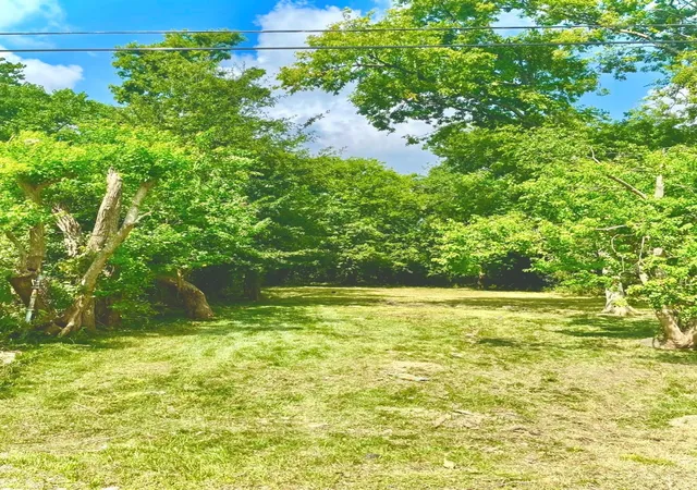 Photo 3 of Land for sale at 3415 Hewrick St, Houston, TX 77020 | MLS# 63512969 | Listing updated on 2026-04-08