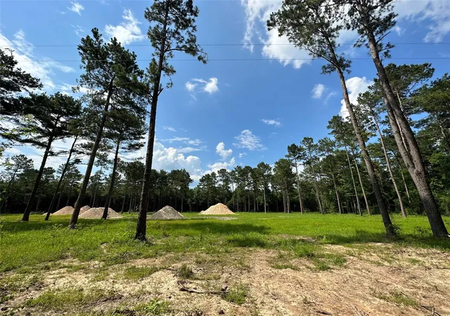 Photo 2 of Land for sale at 900 County Rd 301 N, Dayton, TX 77535 | MLS# 32641903 | Listing updated on 2026-09-02