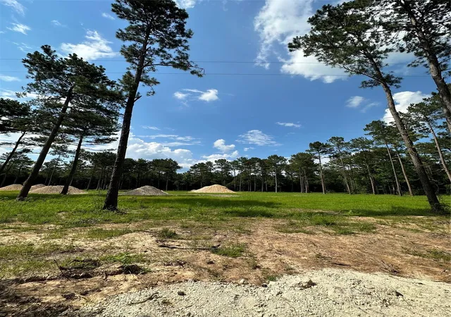 Photo 7 of Land for sale at 900 County Rd 301 N, Dayton, TX 77535 | MLS# 32641903 | Listing updated on 2026-09-02