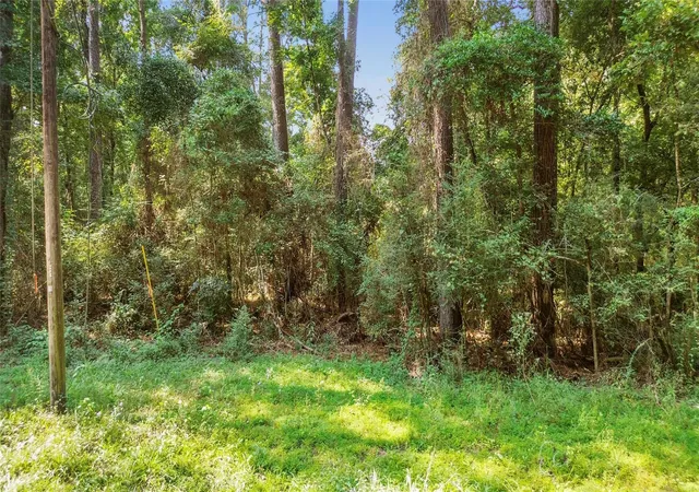 Photo 1 of Land for sale at 12865 Royal Forest Dr, Conroe, TX 77303 | MLS# 39234740 | Listing updated on 2026-09-10
