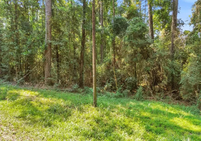 Photo 2 of Land for sale at 12865 Royal Forest Dr, Conroe, TX 77303 | MLS# 39234740 | Listing updated on 2026-09-10
