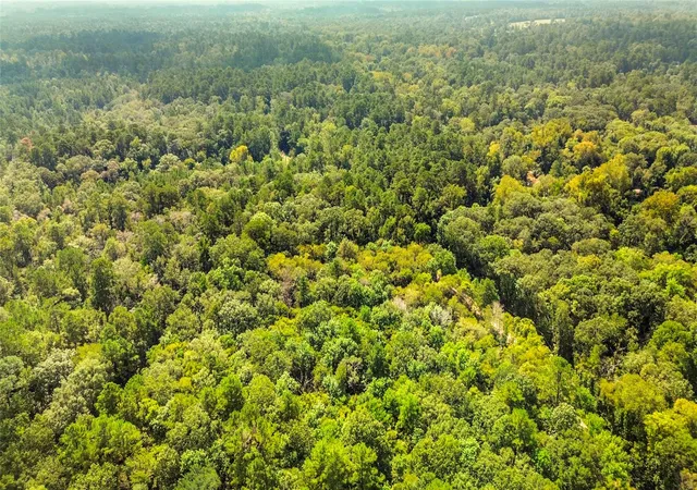 Photo 4 of Land for sale at 12865 Royal Forest Dr, Conroe, TX 77303 | MLS# 39234740 | Listing updated on 2026-09-10