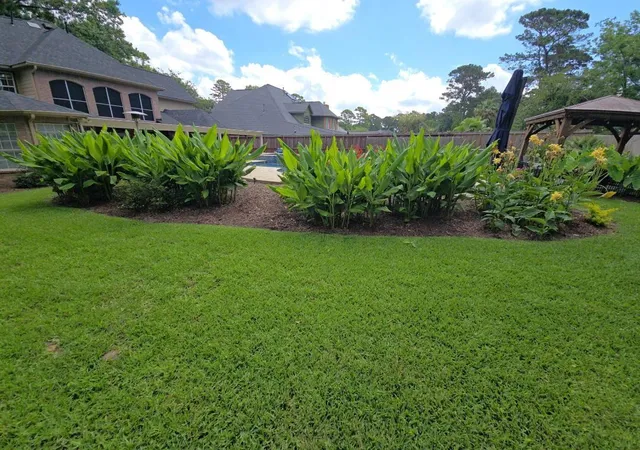 5th image of 14119 Spring Pines Dr, Tomball, TX 77375 | MLS# 58674118