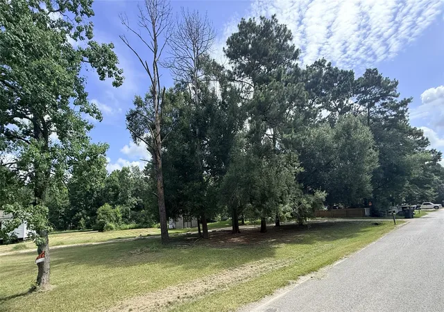 Photo 2 of Land for sale at 349 County Rd 3797, Cleveland, TX 77328 | MLS# 63148920 | Listing updated on 2026-08-20