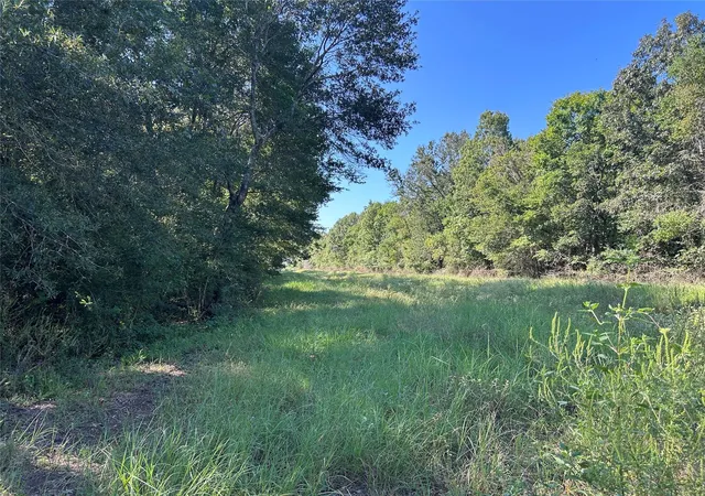 Photo 2 of Land for sale at Na Mcguire Rd, Liberty, TX 77575 | MLS# 19473863 | Listing updated on 2026-09-10