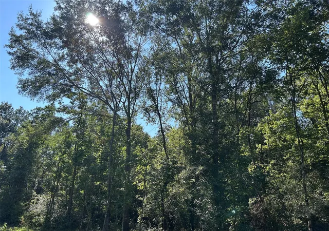 Photo 4 of Land for sale at Na Mcguire Rd, Liberty, TX 77575 | MLS# 19473863 | Listing updated on 2026-09-10