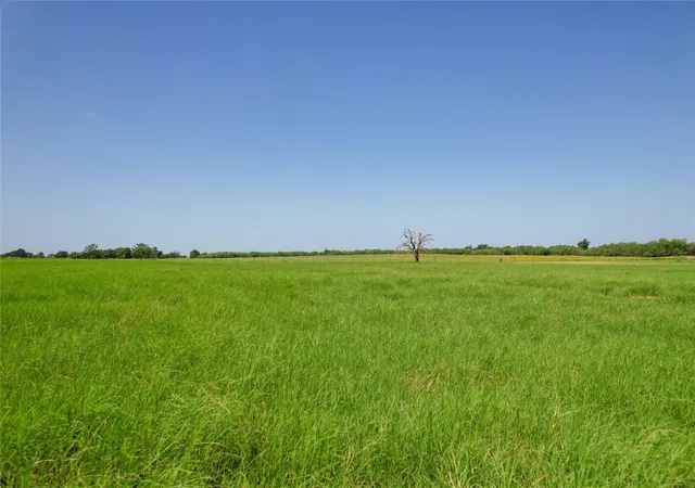 18th image of Tract 2 Cr 419, Bremond, TX 76629 | MLS# 88784352