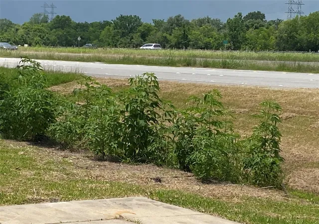 Photo 3 of Land for sale at 0 Green Valley, Rosharon, TX 77583 | MLS# 80601528 | Listing updated on 2026-10-06