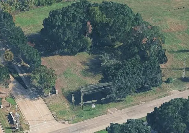 1st image of 8802 Jones Rd, Houston, TX 77065 | MLS# 75827988