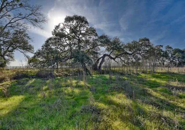 Photo 3 of Land for sale at 1855 Fm 1948 Views N, Burton, TX 77835 | MLS# 97410611 | Listing updated on 2026-03-31