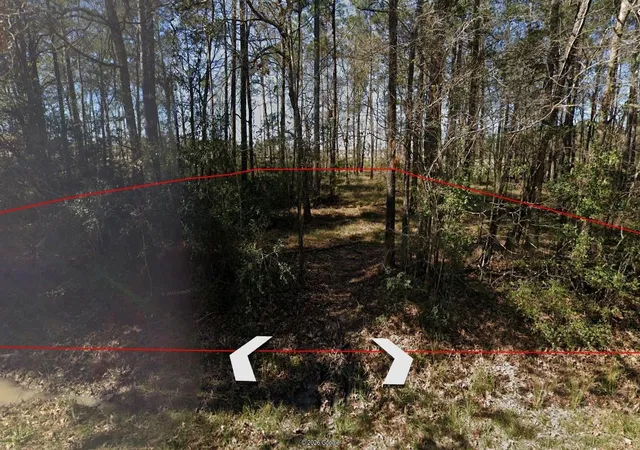 3rd image of 0000 Dogwood Ln, Porter, TX 77365 | MLS# 90468835