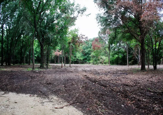 Photo 19 of Land for sale at 15 Ac Greenbriar Rd, Madisonville, TX 77864 | MLS# 82412930 | Listing updated on 2026-08-25
