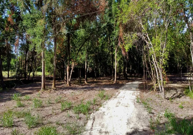 Photo 1 of Land for sale at 15 Ac Greenbriar Rd, Madisonville, TX 77864 | MLS# 82412930 | Listing updated on 2026-08-25