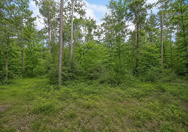 Photo 3 of Land for sale at 247 County Road 6763, Dayton, TX 77535 | MLS# 52208721 | Listing updated on 2026-08-26